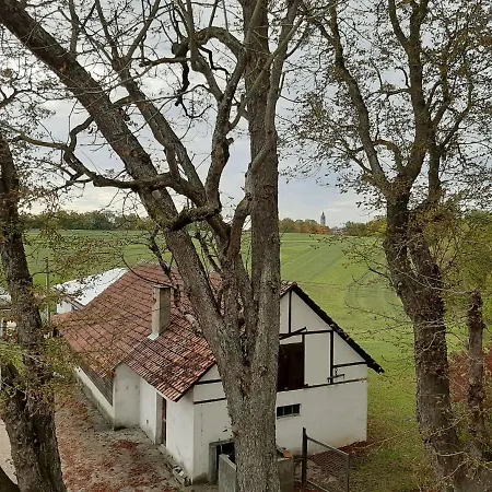 Ideal Apartment In Rottweil Near Rottweil Elevator Tower 公寓